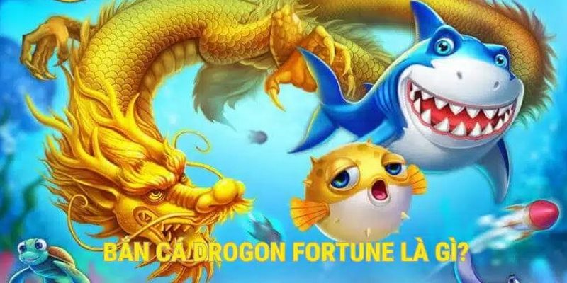 Dragon Fortune nhận chú ý lớn của hội viên tại JILI Gaming