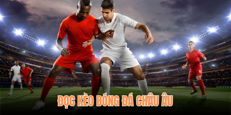 Đọc kèo bóng đá châu Âu quá dễ với OXBET