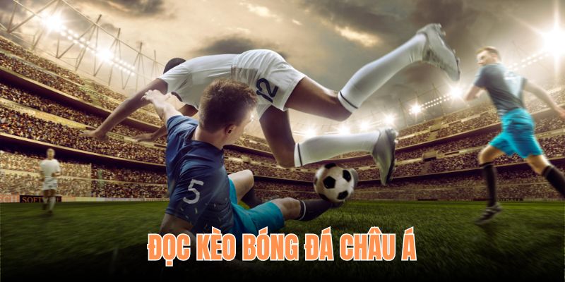 Đọc kèo bóng đá châu Âu luôn mang đến sự kịch tính tại OXBET