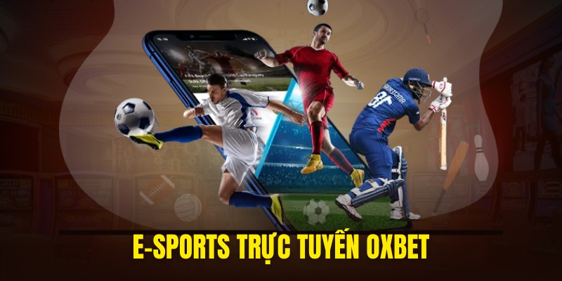 Cá cược cạnh tranh tại sảnh OXBET Esport trực tuyến